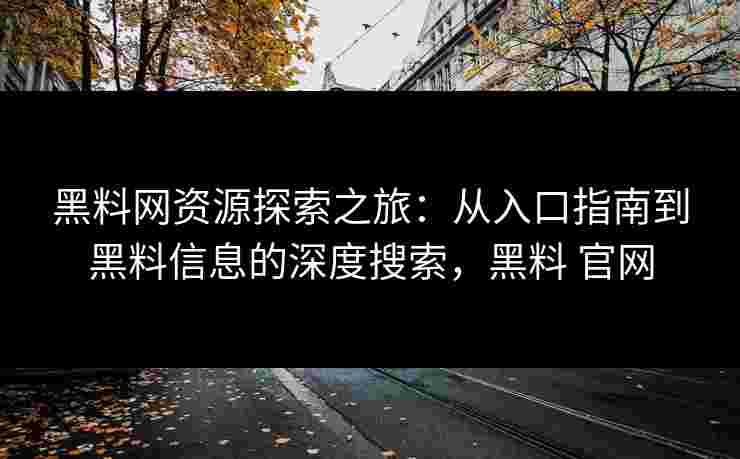 黑料网资源探索之旅：从入口指南到黑料信息的深度搜索，黑料 官网