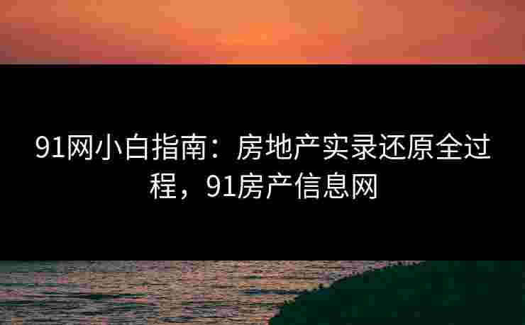 91网小白指南：房地产实录还原全过程，91房产信息网