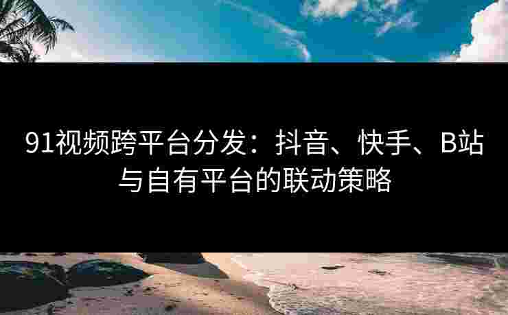 91视频跨平台分发：抖音、快手、B站与自有平台的联动策略